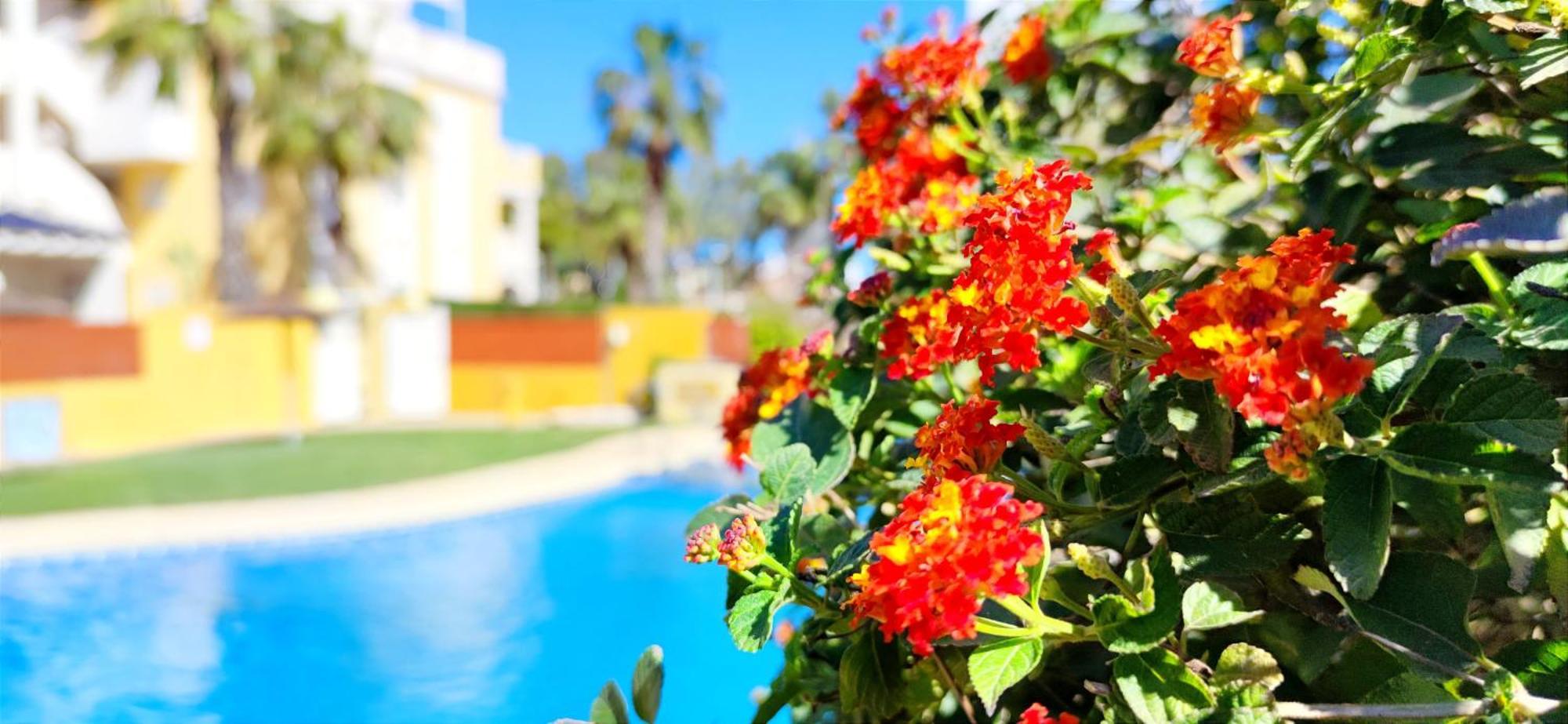 Apartamento Playa Sol By Denia Costa Bagian luar foto