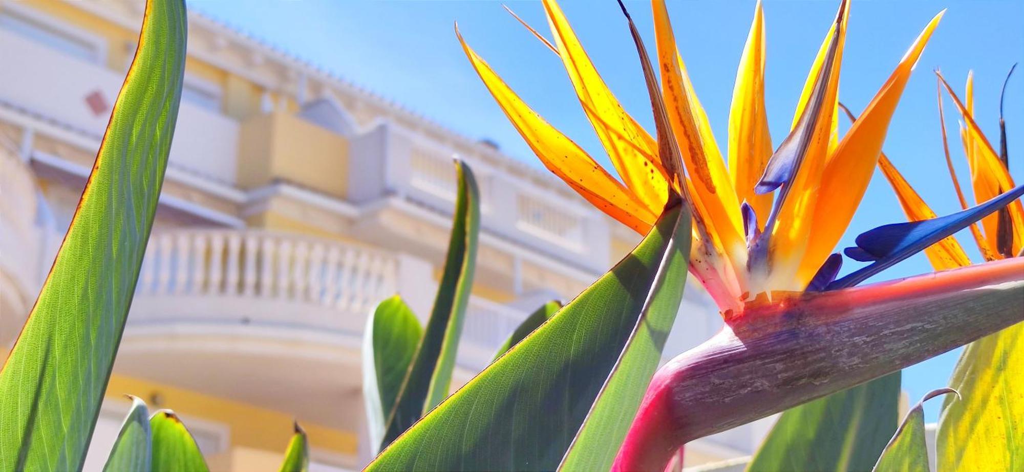 Apartamento Playa Sol By Denia Costa Bagian luar foto